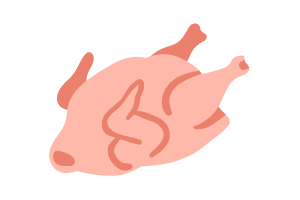 fresh chicken